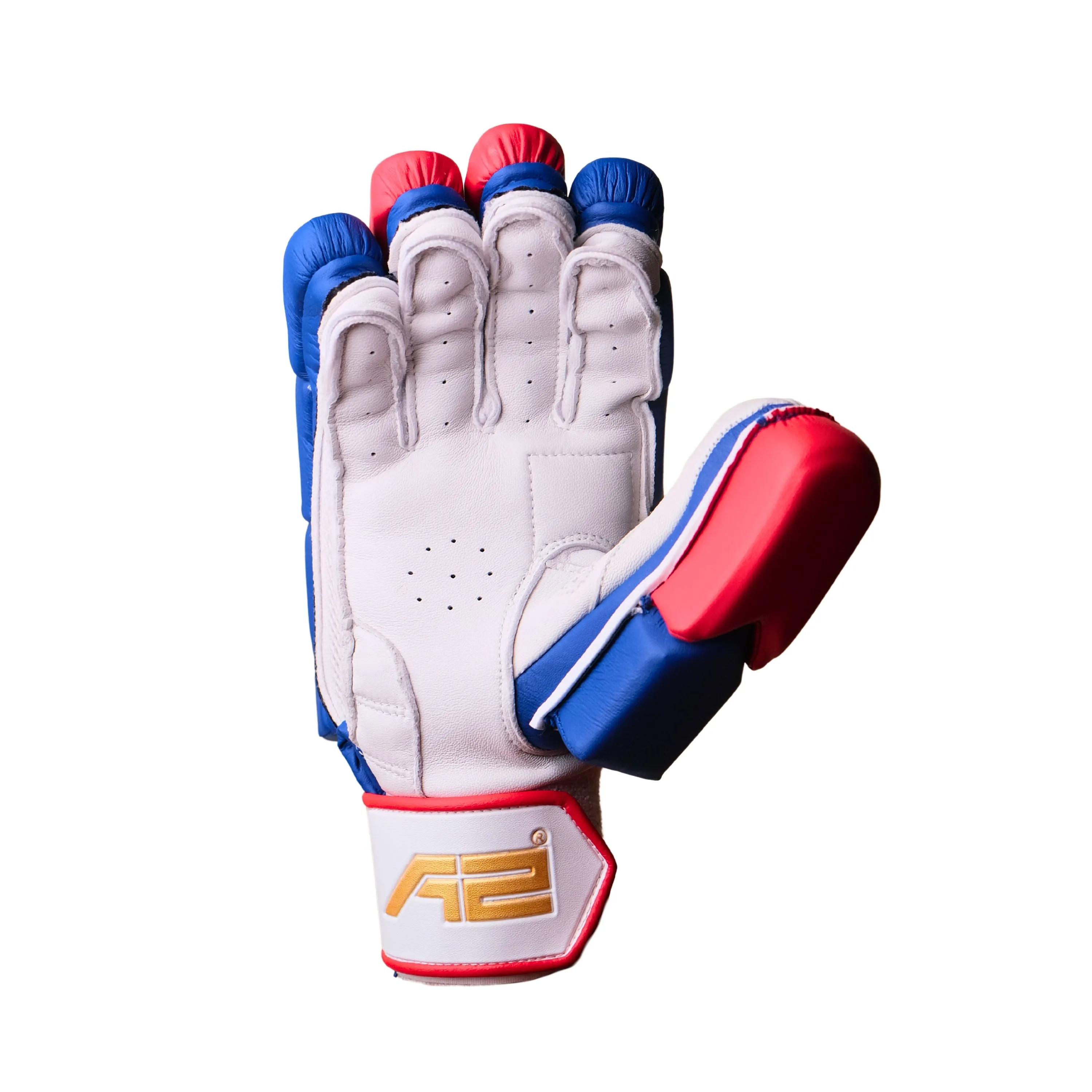 Cricket Batting Gloves - SplitX - Blue & Red