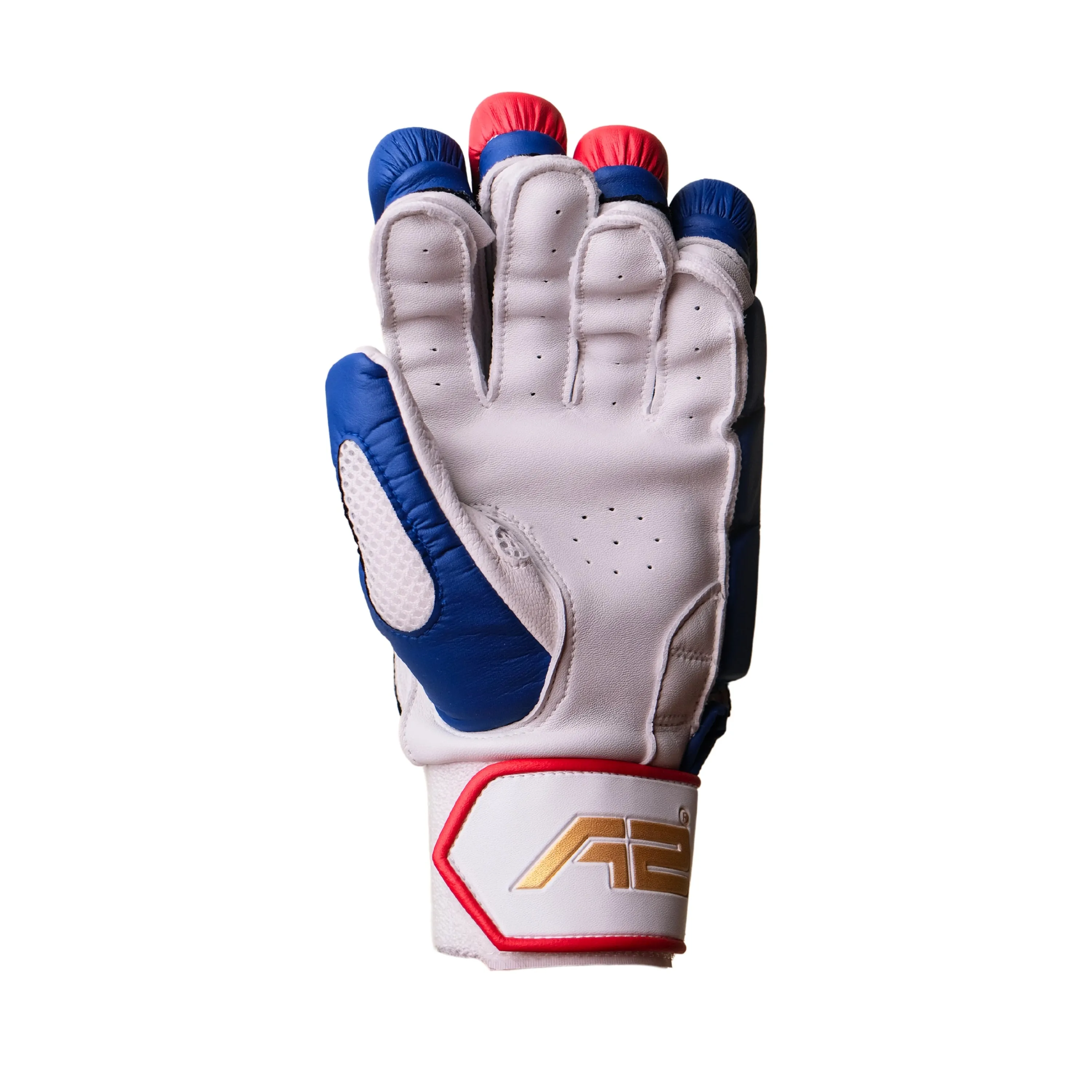 Cricket Batting Gloves - SplitX - Blue & Red