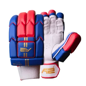 Cricket Batting Gloves - SplitX - Blue & Red