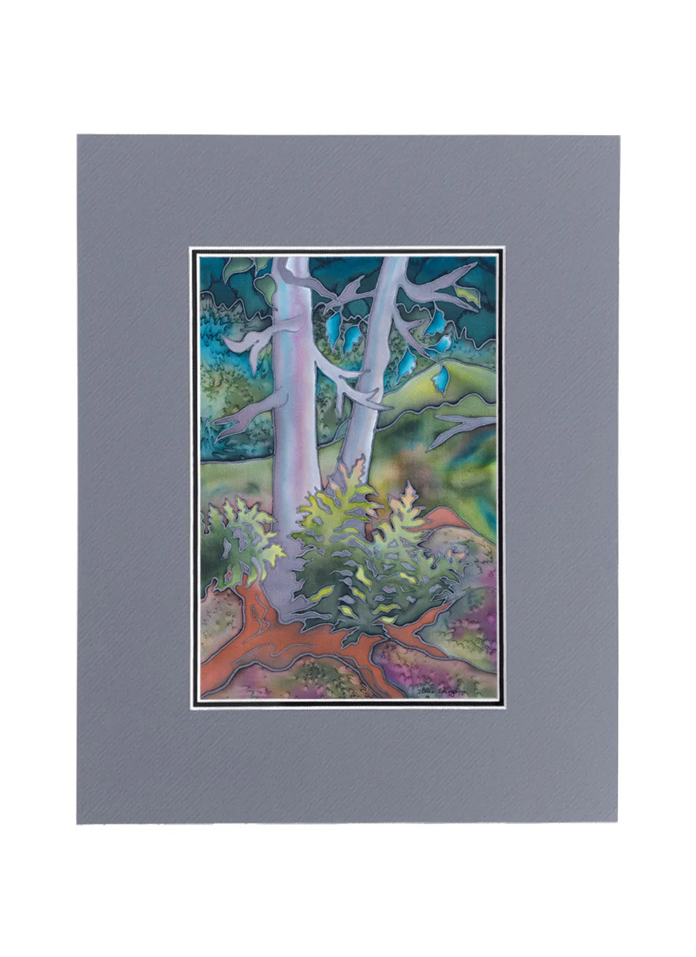 Ferns Print | 11"x14"