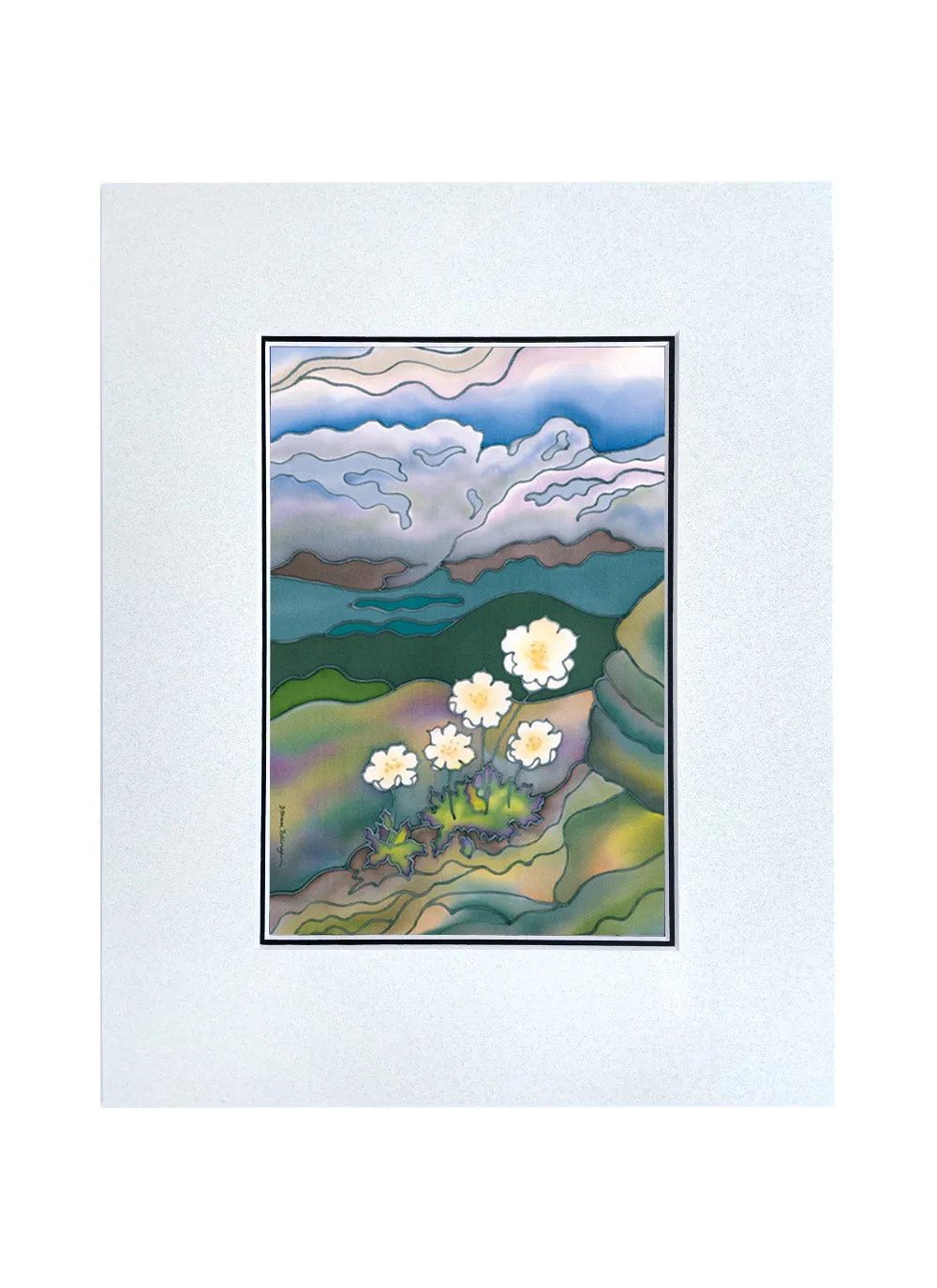 Mountain Avens Print | 11"x14"
